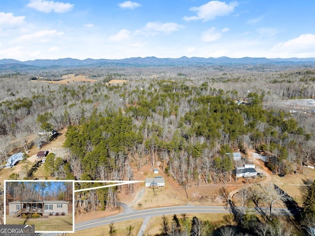 birds eye view of property with a mountain view