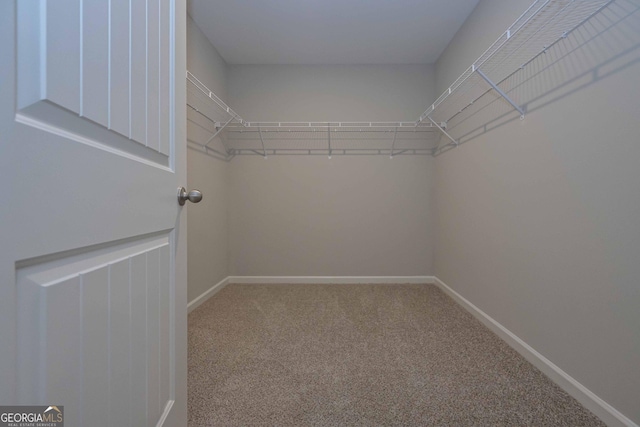 walk in closet with carpet