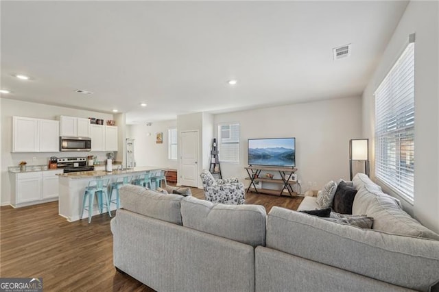 living room with dark hardwood / wood-style floors