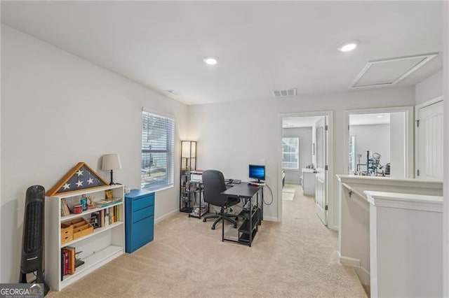 carpeted home office featuring a healthy amount of sunlight