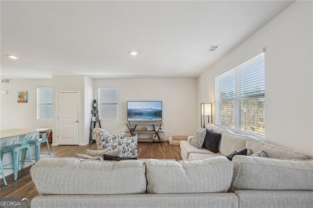 living room with wood-type flooring