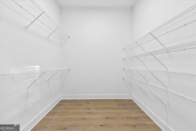 walk in closet with hardwood / wood-style flooring