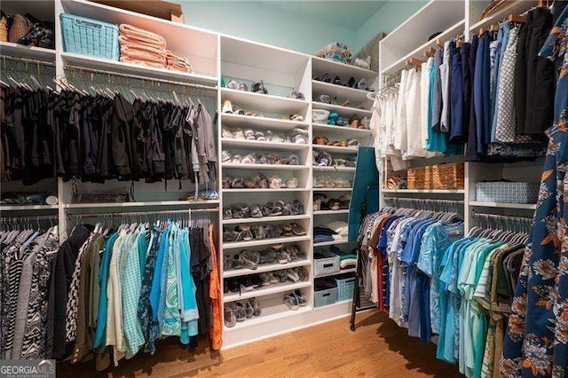 walk in closet with hardwood / wood-style flooring