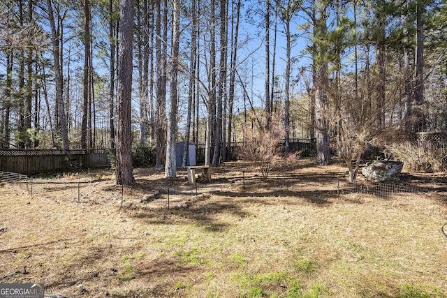 view of yard featuring a shed