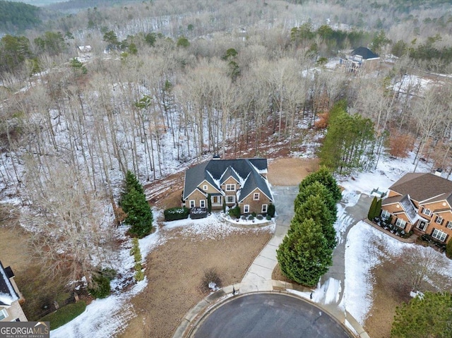 view of snowy aerial view