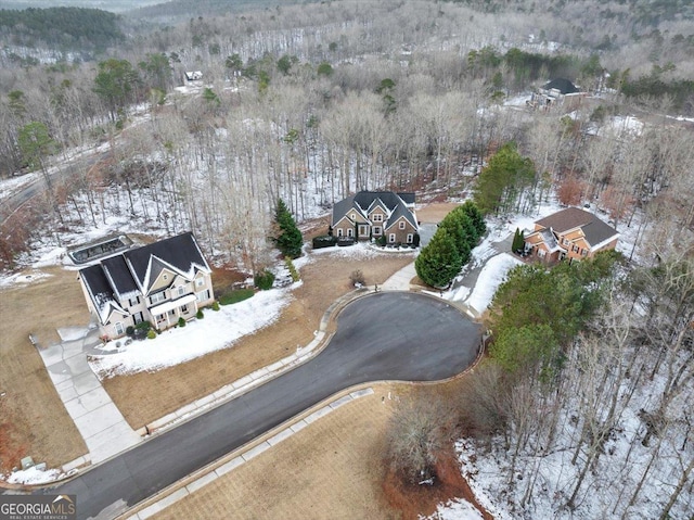 view of snowy aerial view