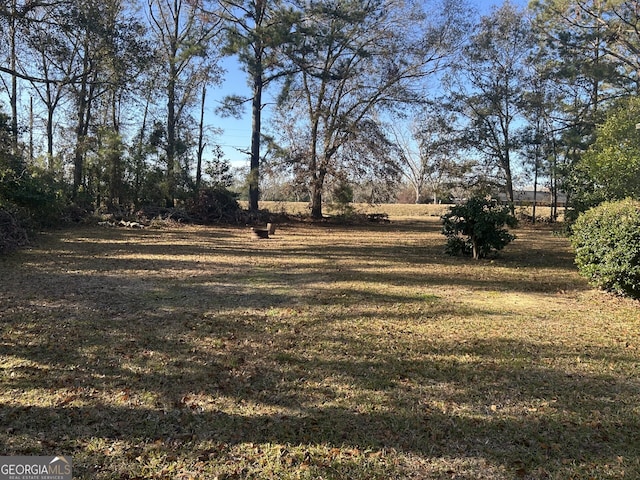 view of yard featuring a rural view