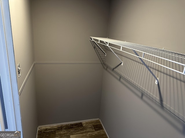 spacious closet featuring dark wood-type flooring