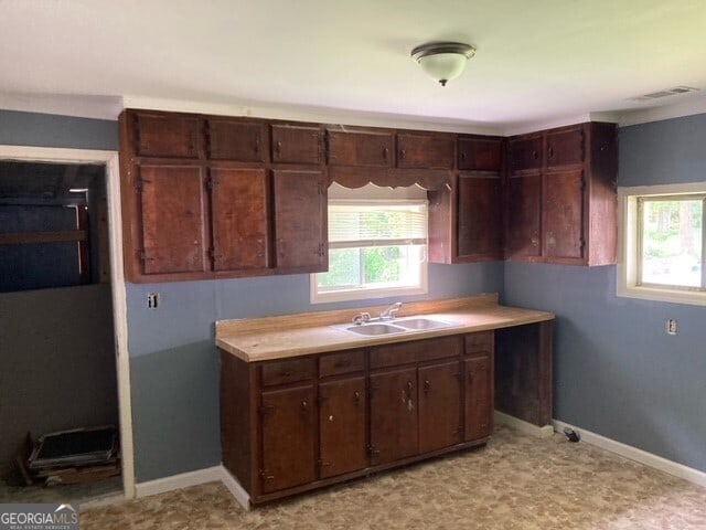 kitchen featuring dark brown cabinetry, a healthy amount of sunlight, and sink