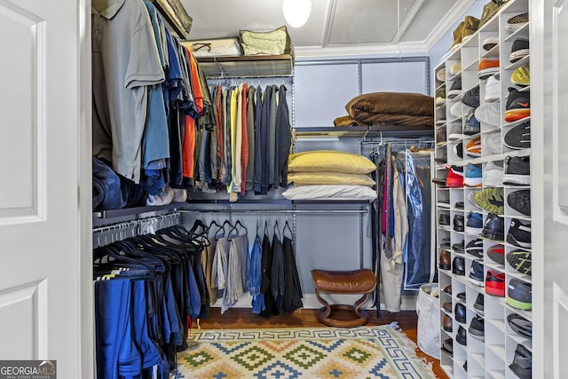 spacious closet with dark wood-type flooring