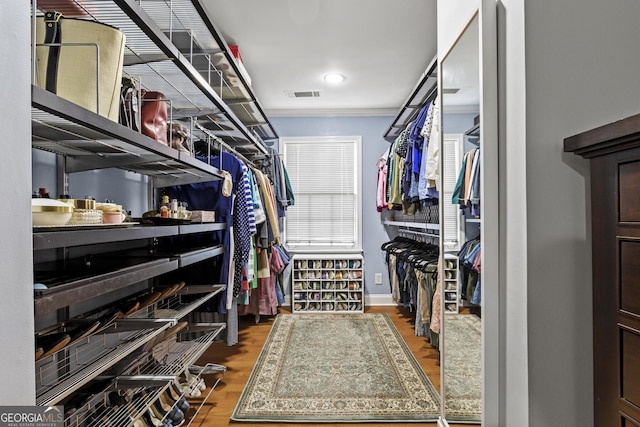 spacious closet with dark hardwood / wood-style flooring