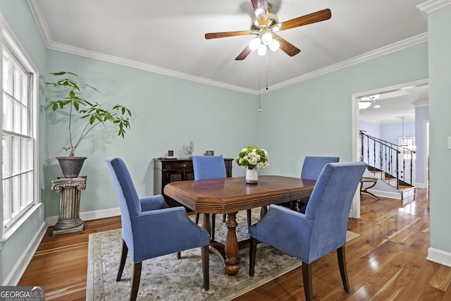 dining space with ornamental molding, hardwood / wood-style floors, and ceiling fan