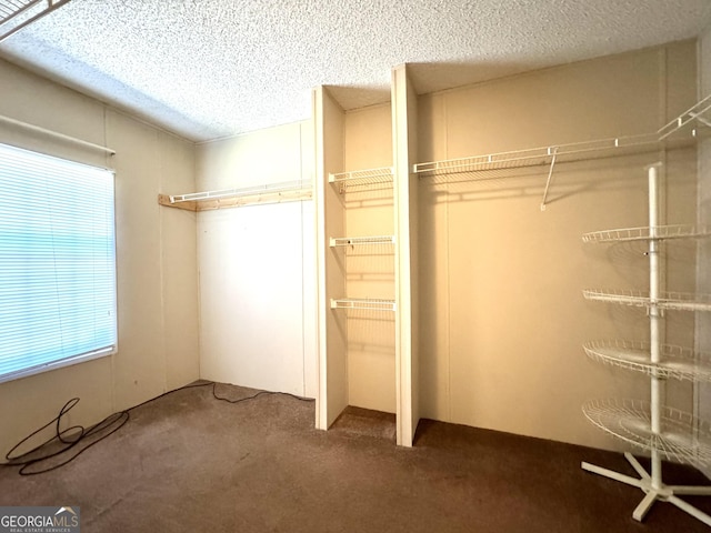 walk in closet with carpet floors