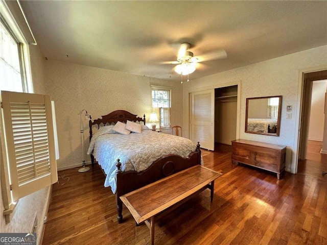 bedroom featuring ceiling fan, dark hardwood / wood-style flooring, and a closet