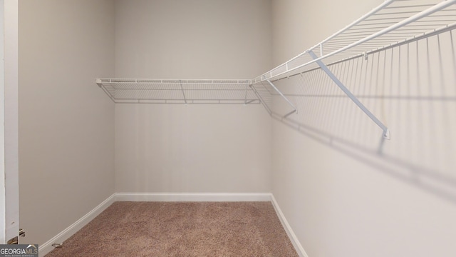 walk in closet featuring carpet