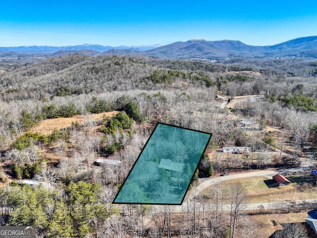 bird's eye view featuring a mountain view