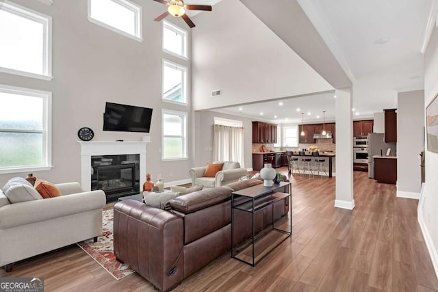 living room featuring wood-type flooring, ceiling fan, and a healthy amount of sunlight