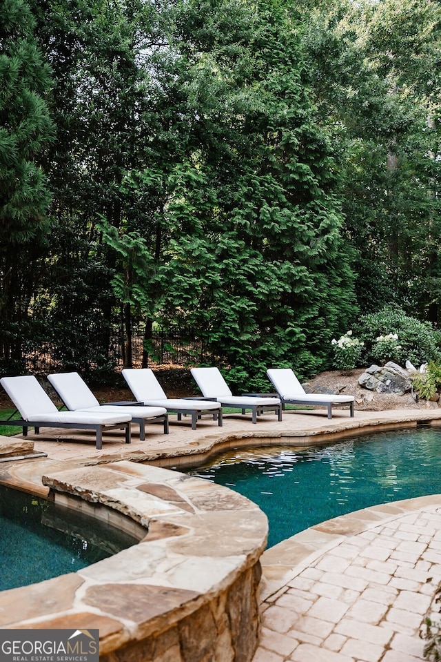 view of pool with a patio