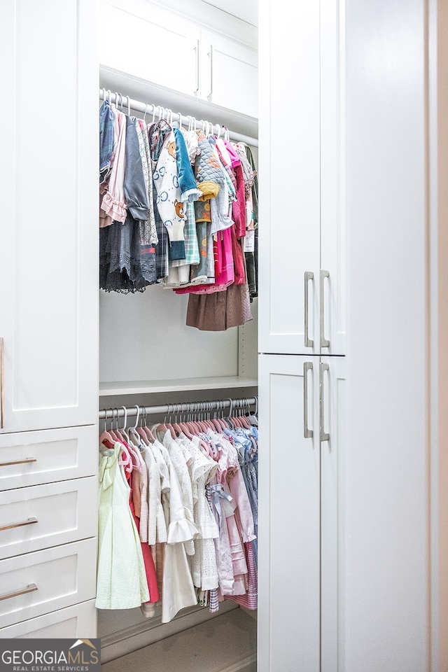 view of closet