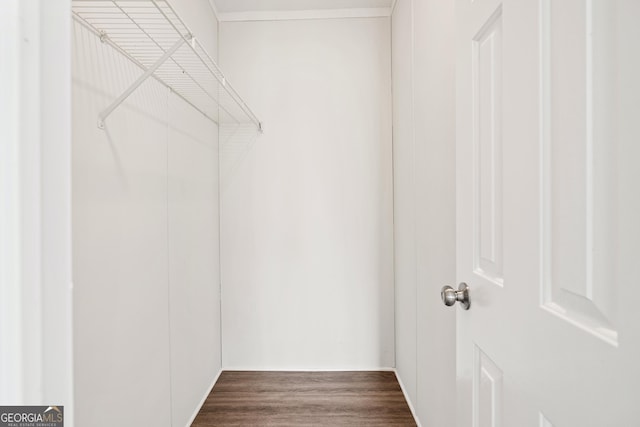 walk in closet with dark wood-type flooring