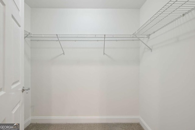 spacious closet with carpet