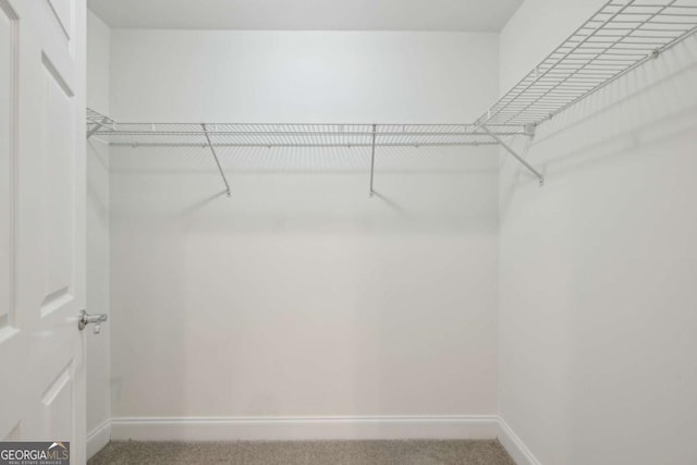 50 Biscayne Dr Unit 2109, Atlanta, GA 30309 - walk in closet featuring carpet floors