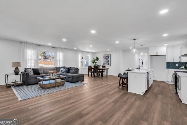 living room featuring sink and dark hardwood / wood-style flooring