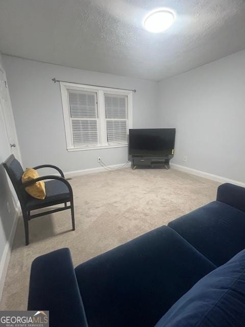 living room with carpet floors and a textured ceiling