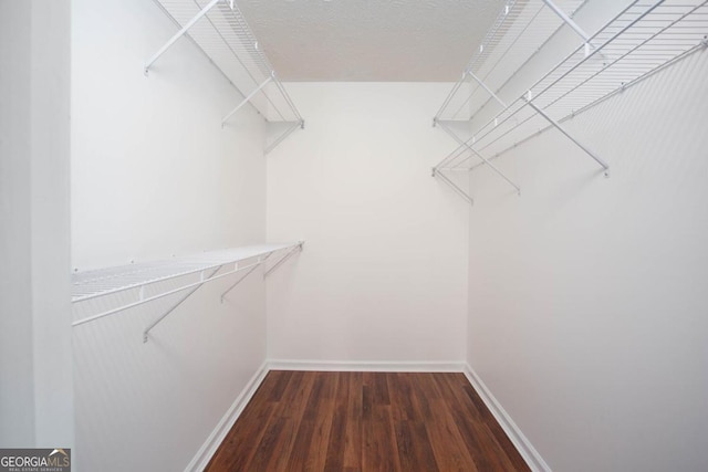 spacious closet featuring dark wood-type flooring