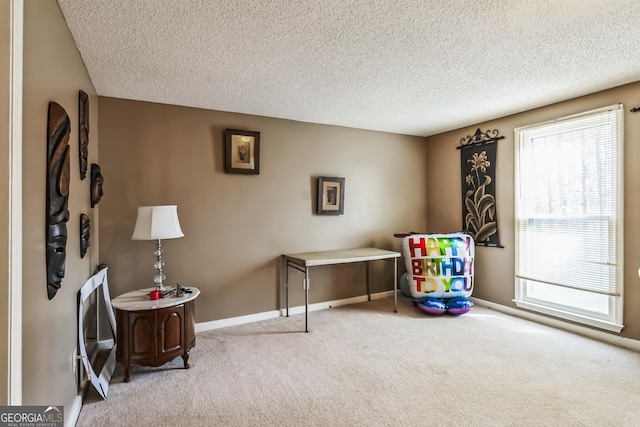 misc room featuring light carpet and a textured ceiling