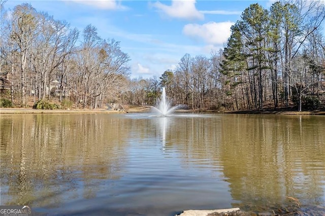 view of water feature