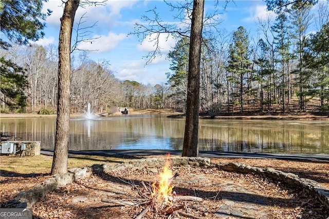 water view featuring an outdoor fire pit