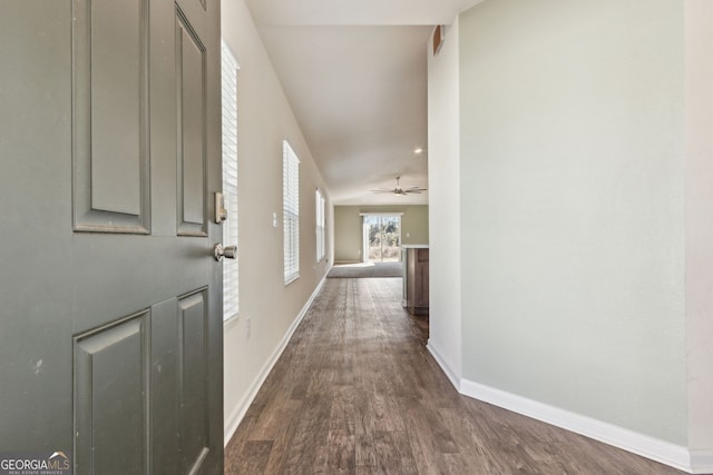 hallway featuring dark hardwood / wood-style floors