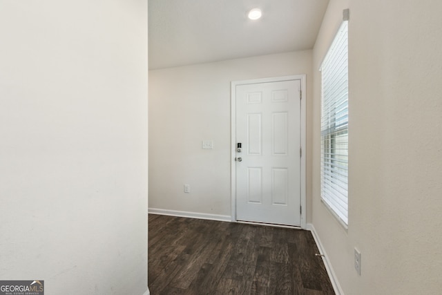 interior space featuring dark hardwood / wood-style floors and plenty of natural light