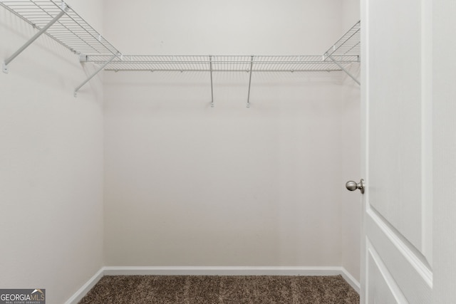 spacious closet with carpet floors