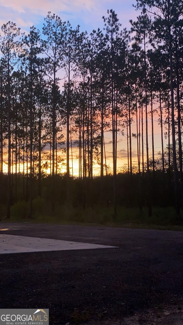 view of yard at dusk