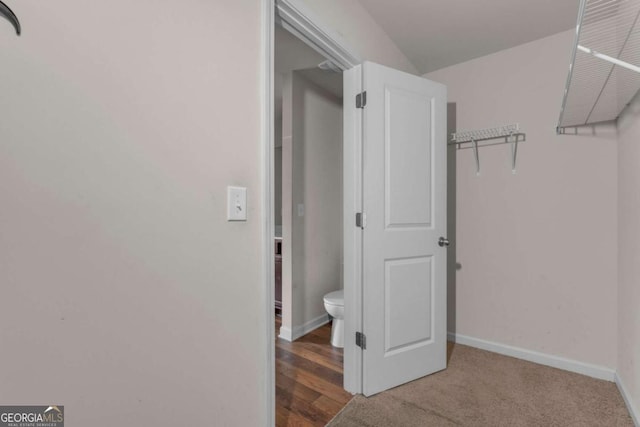 spacious closet with carpet flooring