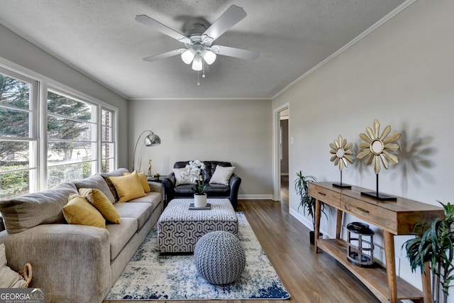 living room with wood-type flooring, a textured ceiling, ceiling fan, and ornamental molding