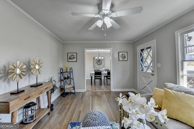 living room featuring ceiling fan with notable chandelier, a textured ceiling, ornamental molding, and wood-type flooring