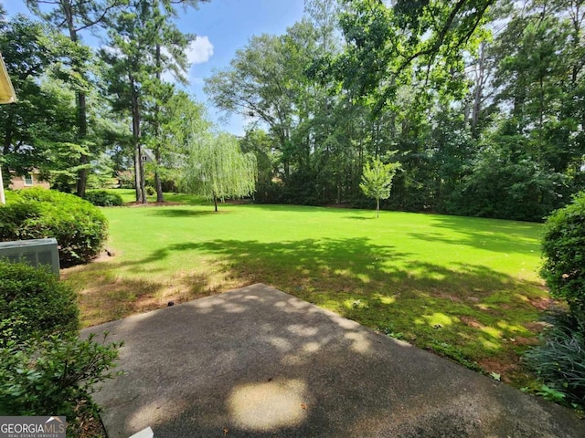 view of yard featuring a patio