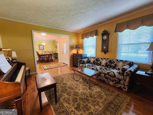 living room with a textured ceiling, hardwood / wood-style flooring, and plenty of natural light