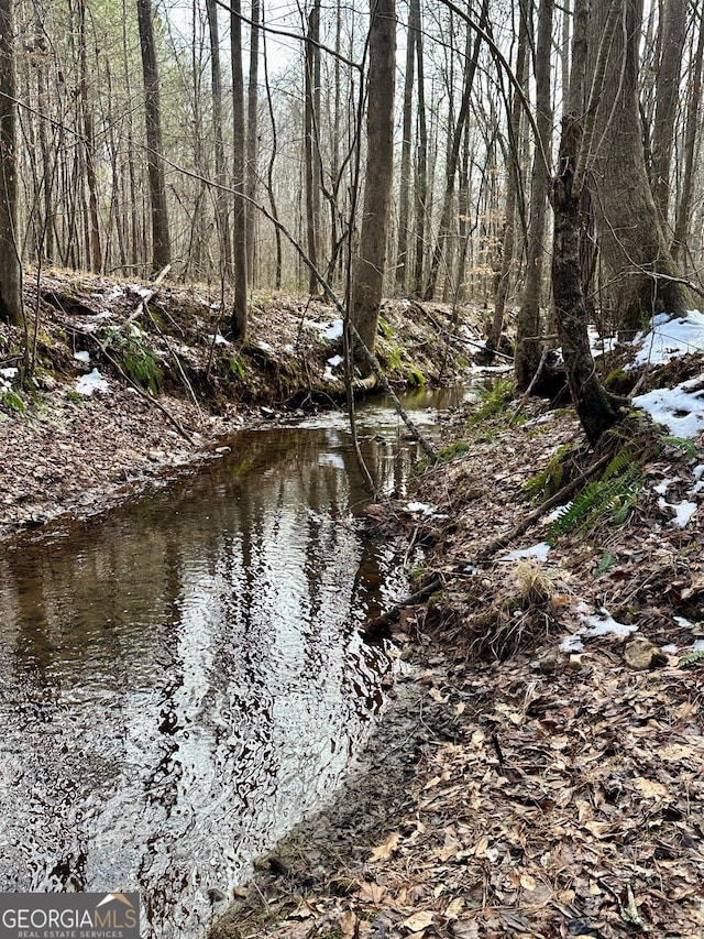 view of local wilderness