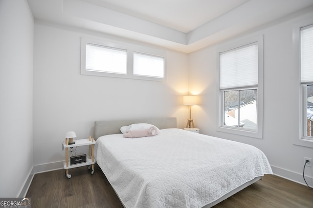 bedroom featuring dark wood-type flooring and a tray ceiling