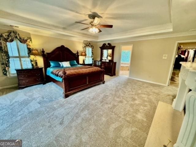 bedroom with carpet, ornamental molding, a tray ceiling, ceiling fan, and a spacious closet