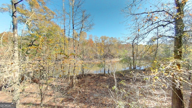 view of local wilderness with a water view