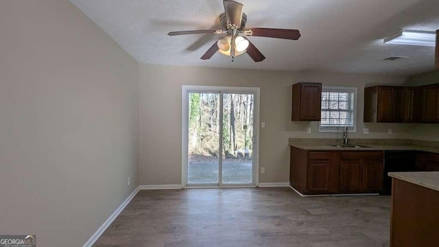 kitchen with ceiling fan, sink, and light hardwood / wood-style flooring