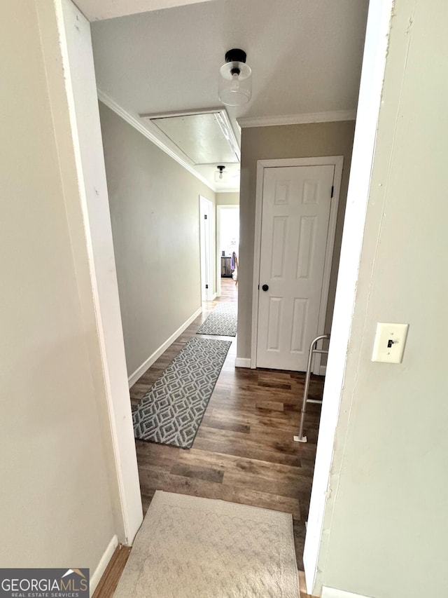 hallway featuring crown molding and dark hardwood / wood-style floors