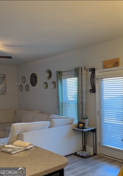 living room with hardwood / wood-style floors and ceiling fan