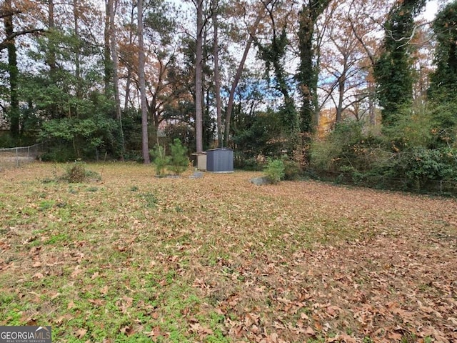 view of yard featuring a storage shed