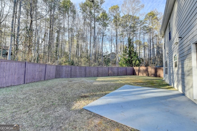 view of yard featuring a patio area